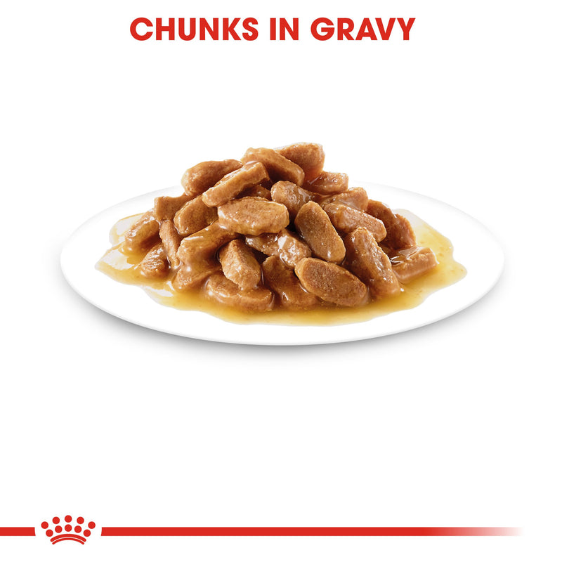 Royal Canin Maxi Puppy in Gravy (140 gm\pouch) - wet food for large dogs - Adult weight from 26 to 44 KG. From 2 to 15 months - Amin Pet Shop