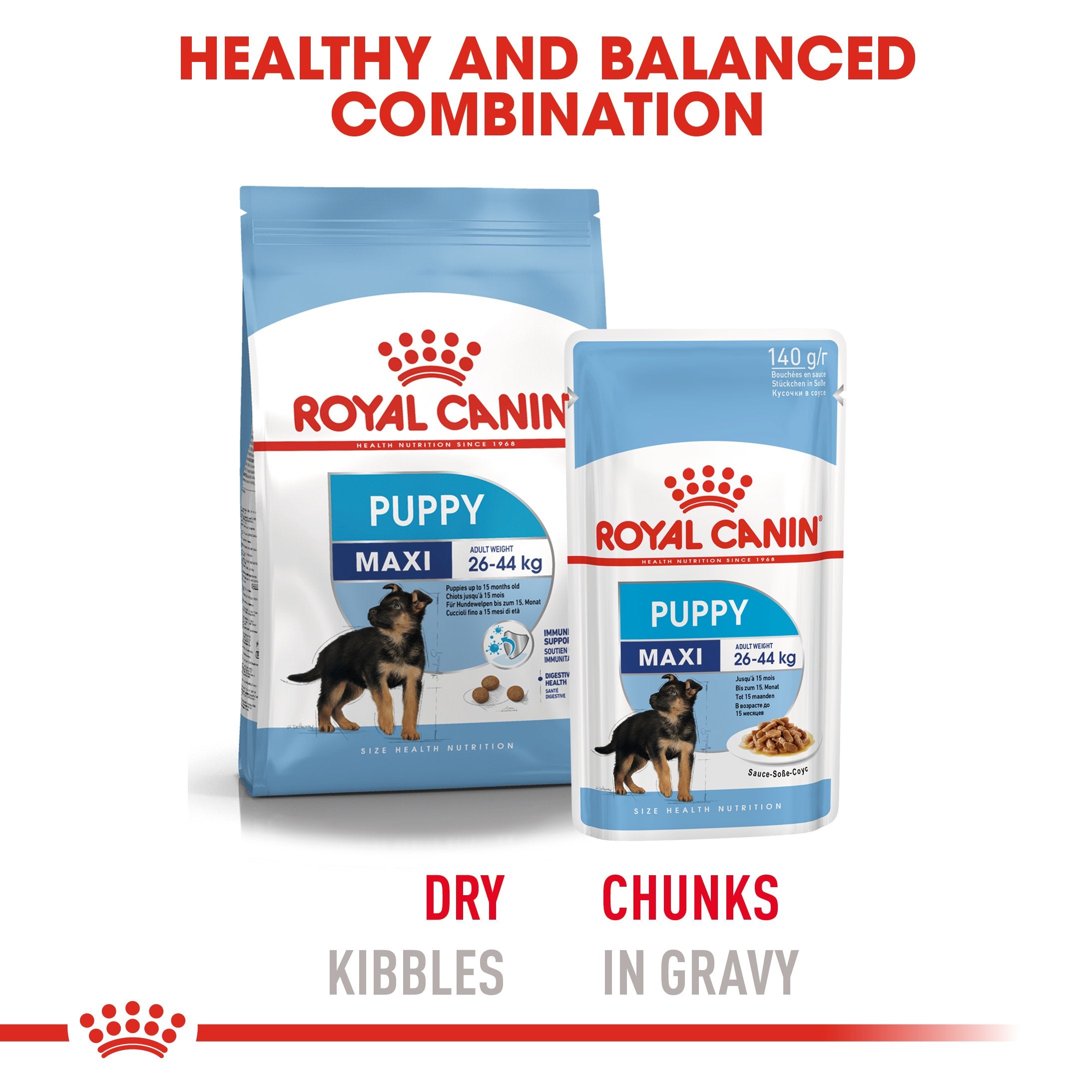 Royal Canin Maxi Puppy in Gravy (140 gm\pouch) - wet food for large dogs - Adult weight from 26 to 44 KG. From 2 to 15 months - Amin Pet Shop