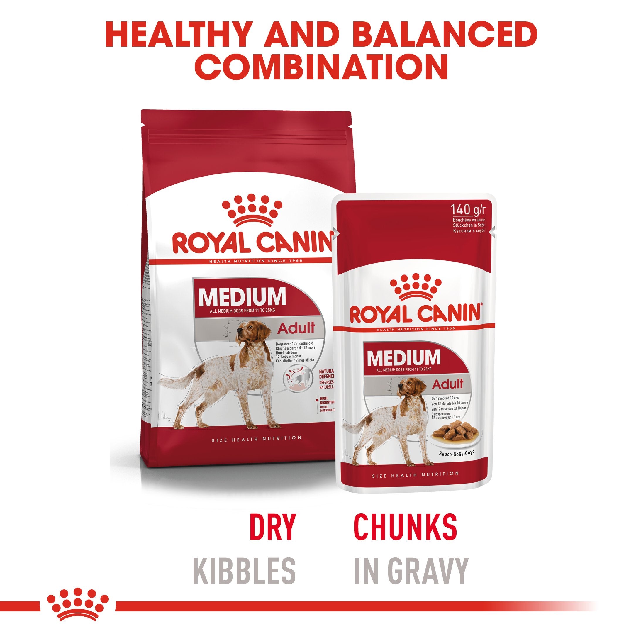 Royal Canin Medium Adult in Gravy (140 gm\pouch) - wet food for medium dogs from 11 to 25 KG. From 12 months to 7 years - Amin Pet Shop