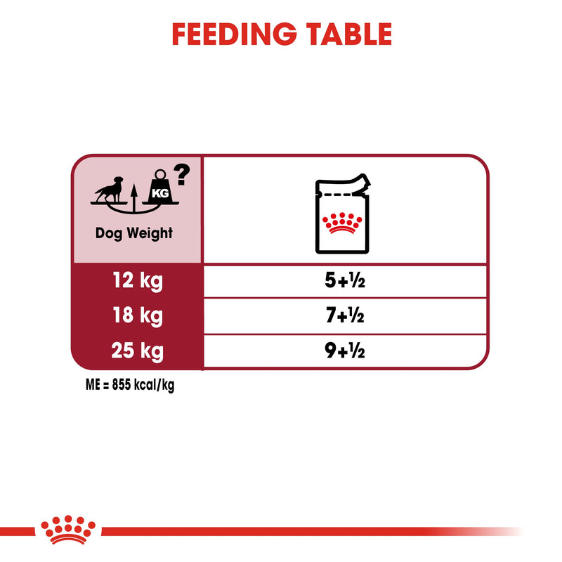 Royal Canin Medium Adult in Gravy (140 gm\pouch) - wet food for medium dogs from 11 to 25 KG. From 12 months to 7 years - Amin Pet Shop