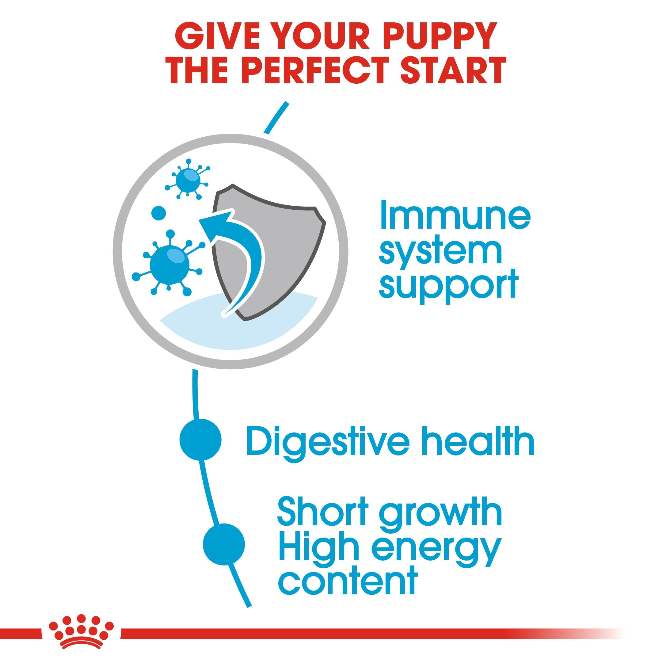 Royal Canin Medium Puppy in Gravy (140 gm\pouch) - wet food for medium dogs - adult weight from 11 to 25 KG. from 2 to 12 months - Amin Pet Shop