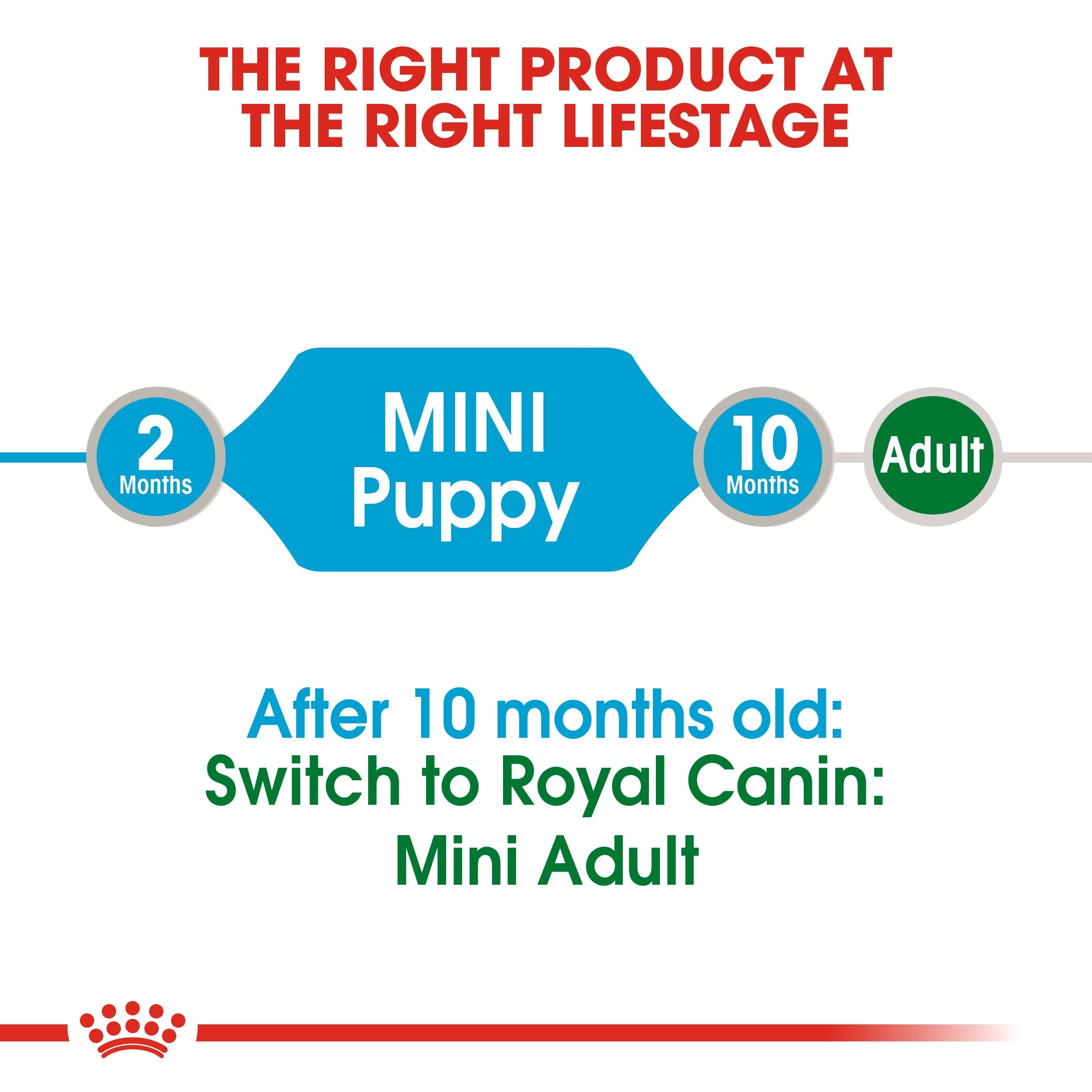 Royal Canin Mini Puppy in Gravy (85 gm\pouch) - wet food for small dogs - Adult weight up to 10 KG From 2 to 10 months old - Amin Pet Shop