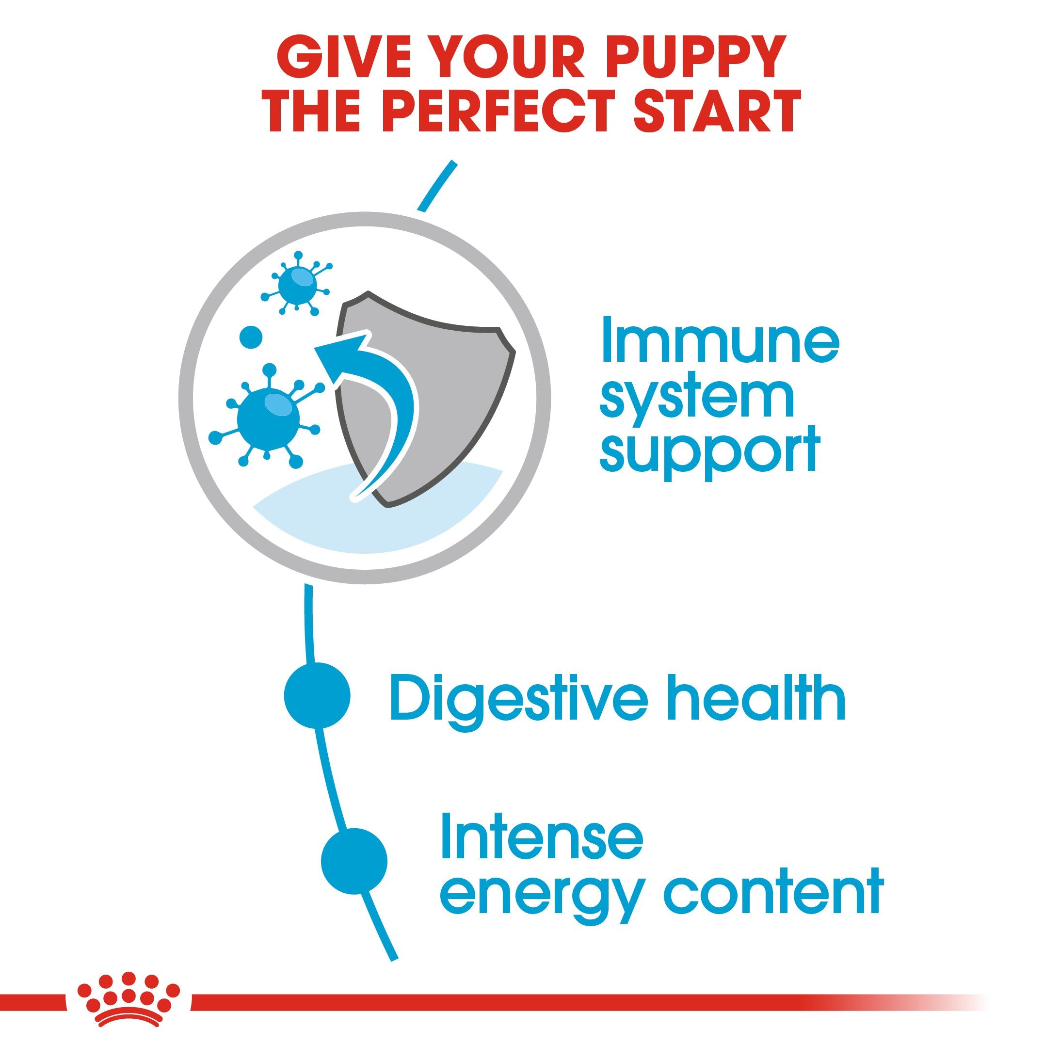 Royal Canin Mini Puppy in Gravy (85 gm\pouch) - wet food for small dogs - Adult weight up to 10 KG From 2 to 10 months old - Amin Pet Shop