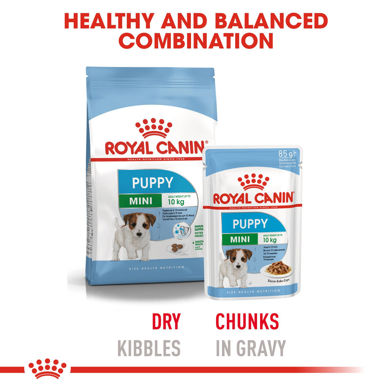 Royal Canin Mini Puppy in Gravy (85 gm\pouch) - wet food for small dogs - Adult weight up to 10 KG From 2 to 10 months old - Amin Pet Shop