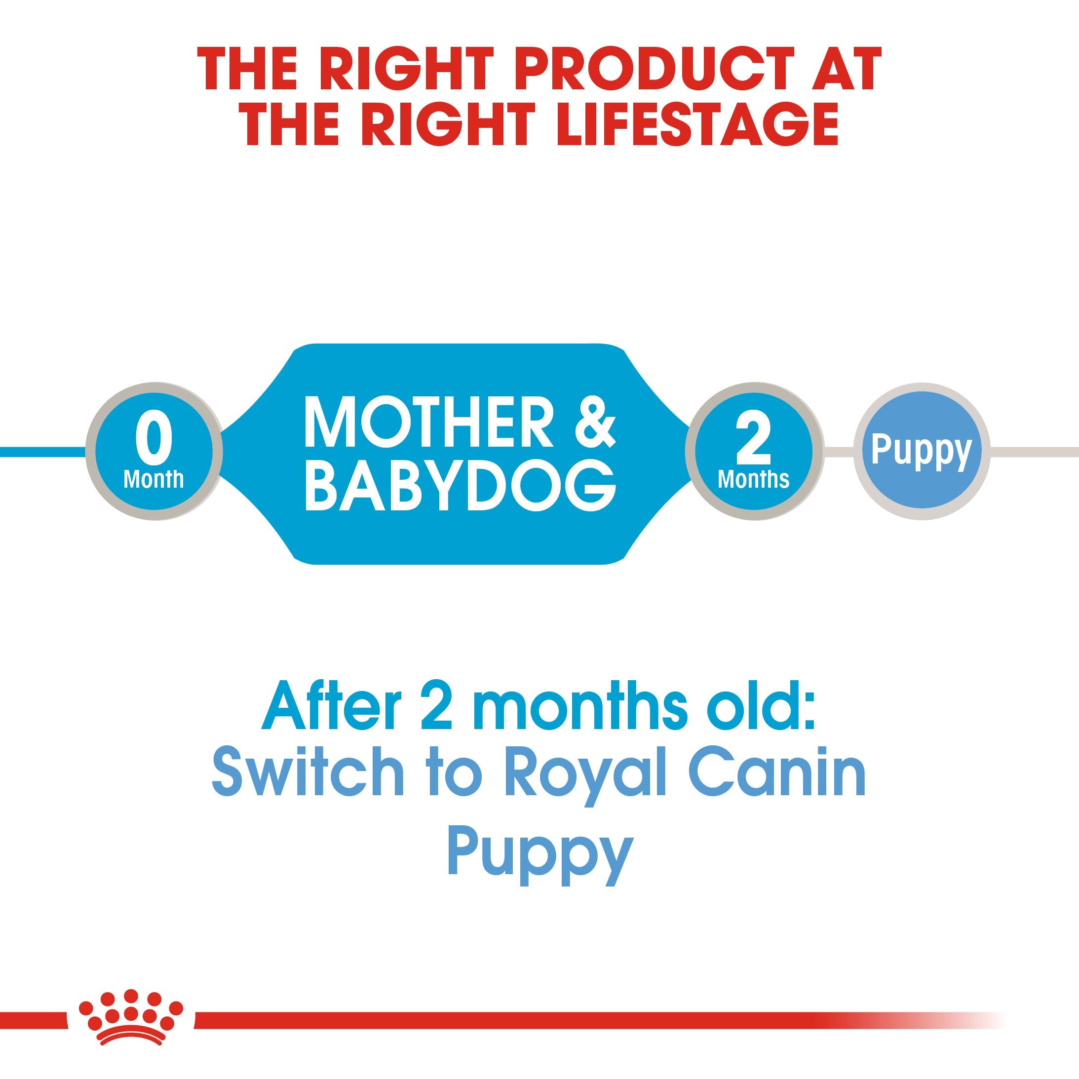 Royal Canin Starter Mousse Mother and Babydog - Can (195 gm) - Gestating and lactation mother and puppies from weaning up to 2 months old - Amin Pet Shop