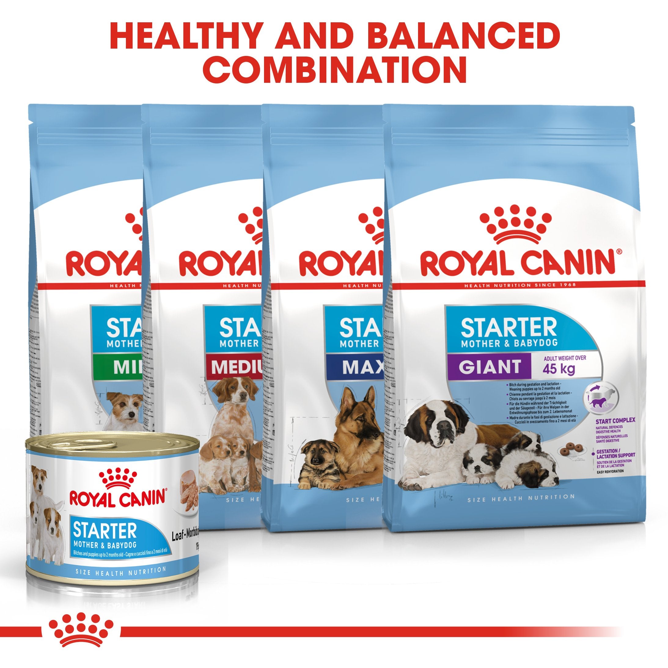 Royal Canin Starter Mousse Mother and Babydog - Can (195 gm) - Gestating and lactation mother and puppies from weaning up to 2 months old - Amin Pet Shop