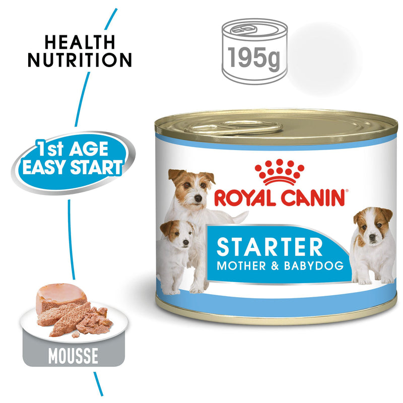 Royal Canin Starter Mousse Mother and Babydog - Can (195 gm) - Gestating and lactation mother and puppies from weaning up to 2 months old - Amin Pet Shop