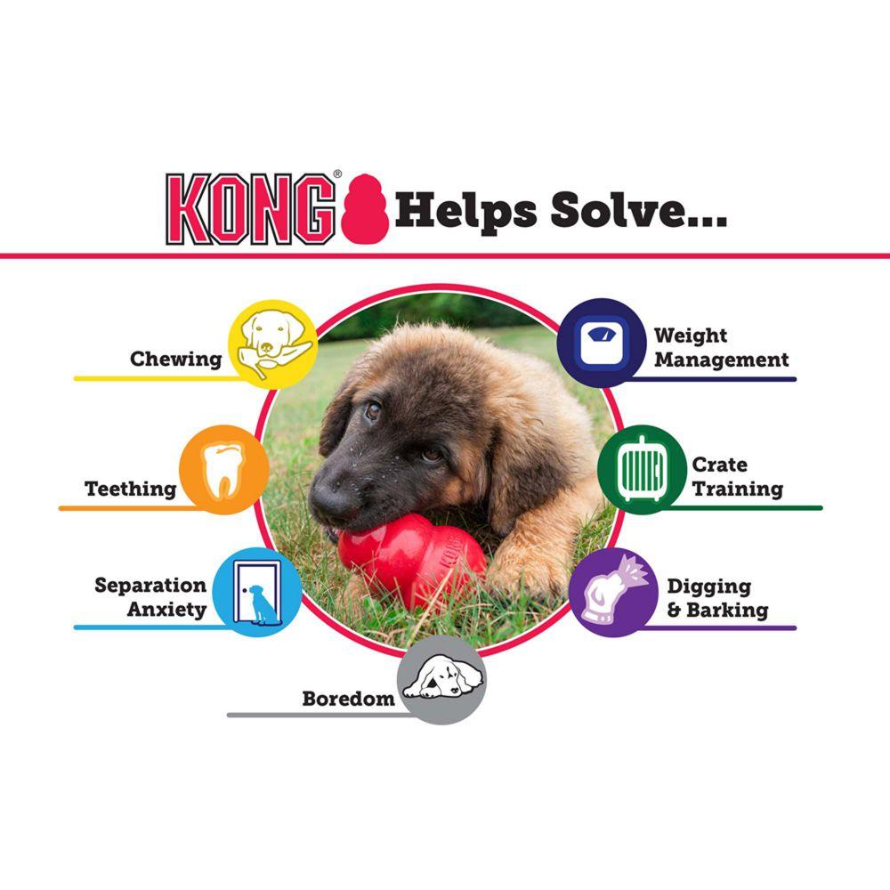 KONG® Puppy - Amin Pet Shop