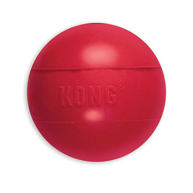 KONG® Ball Medium/Large - Amin Pet Shop