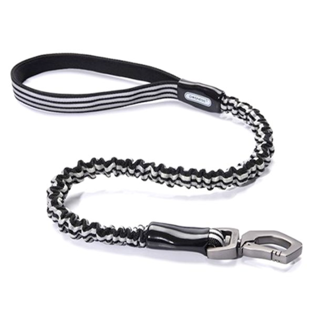 DOGNESS Anti-shock Elastic Leash