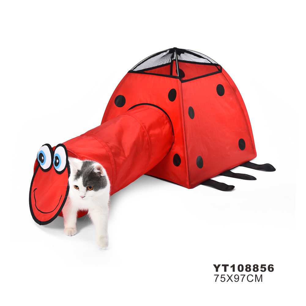 Cat tunnel: YT108856