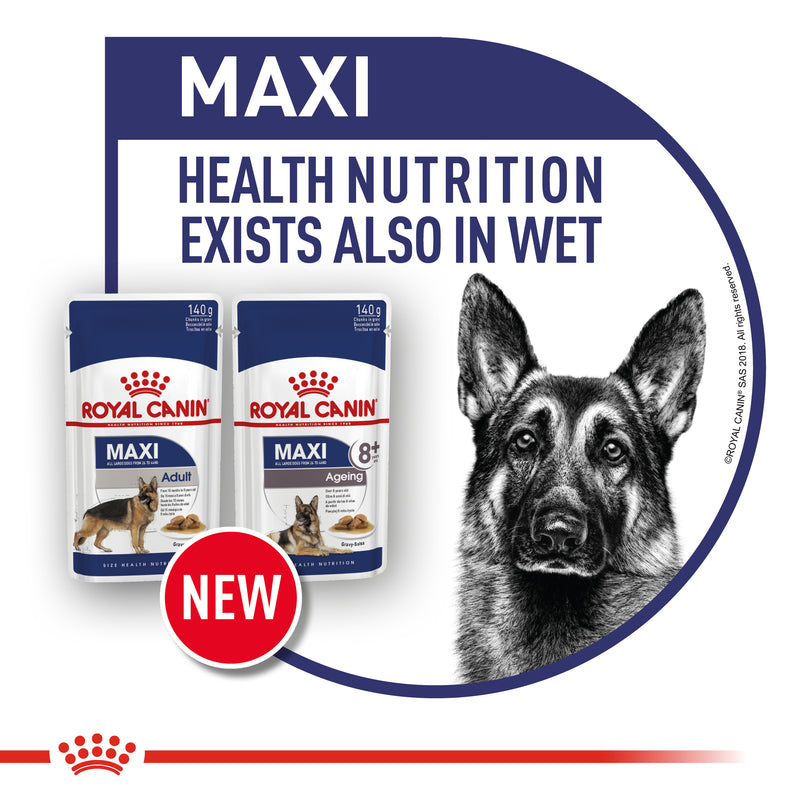 Royal Canin Maxi Adult (4 KG) - Dry food for large dogs from 26 to 44 KG. From 15 months to 5 years old