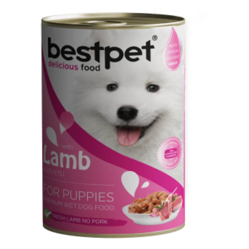 Best pet puppy wet with lamb