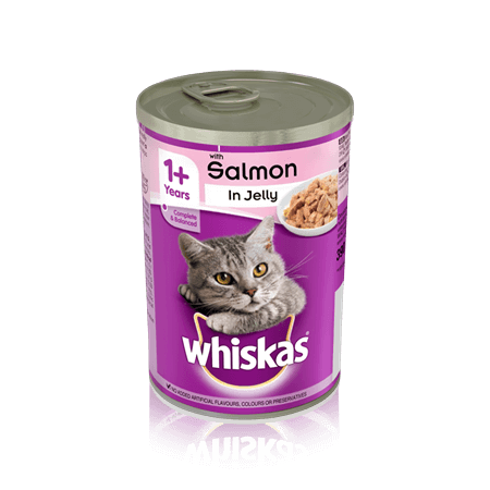 WHISKAS® 1+ Can with Salmon in Jelly 390g - Amin Pet Shop