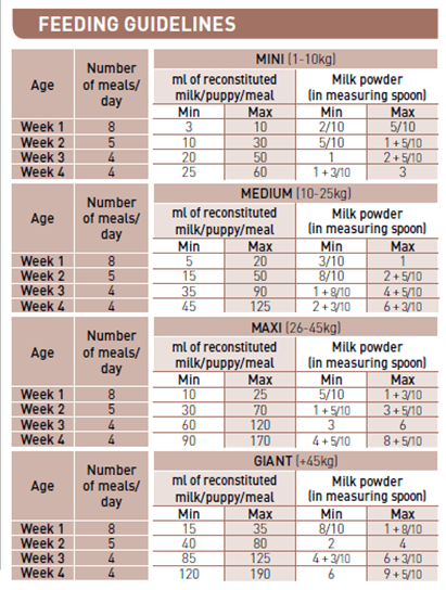 Royal Canin Babydog milk (400 gm) - 1st age milk from birth to weaning - Amin Pet Shop