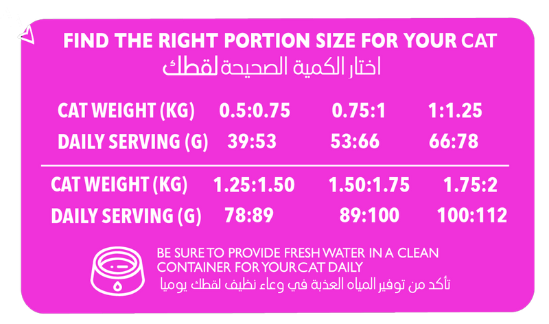 Portion size for sales kittens