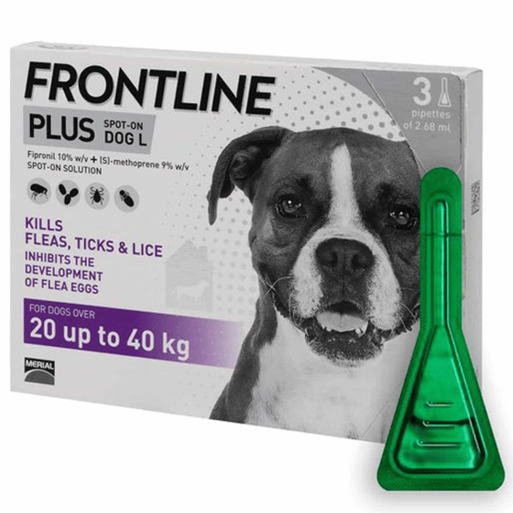 Frontline for big shop dogs