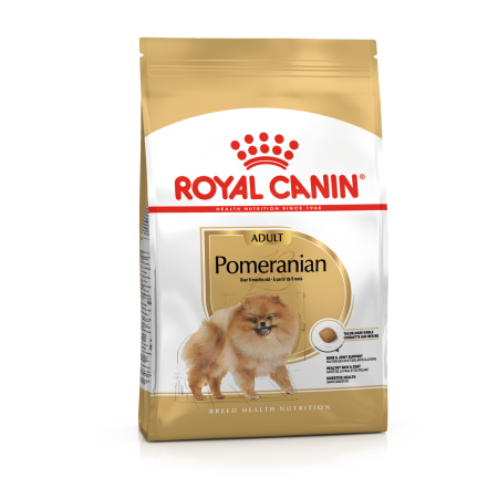 Pomeranian Dog 1.5KG