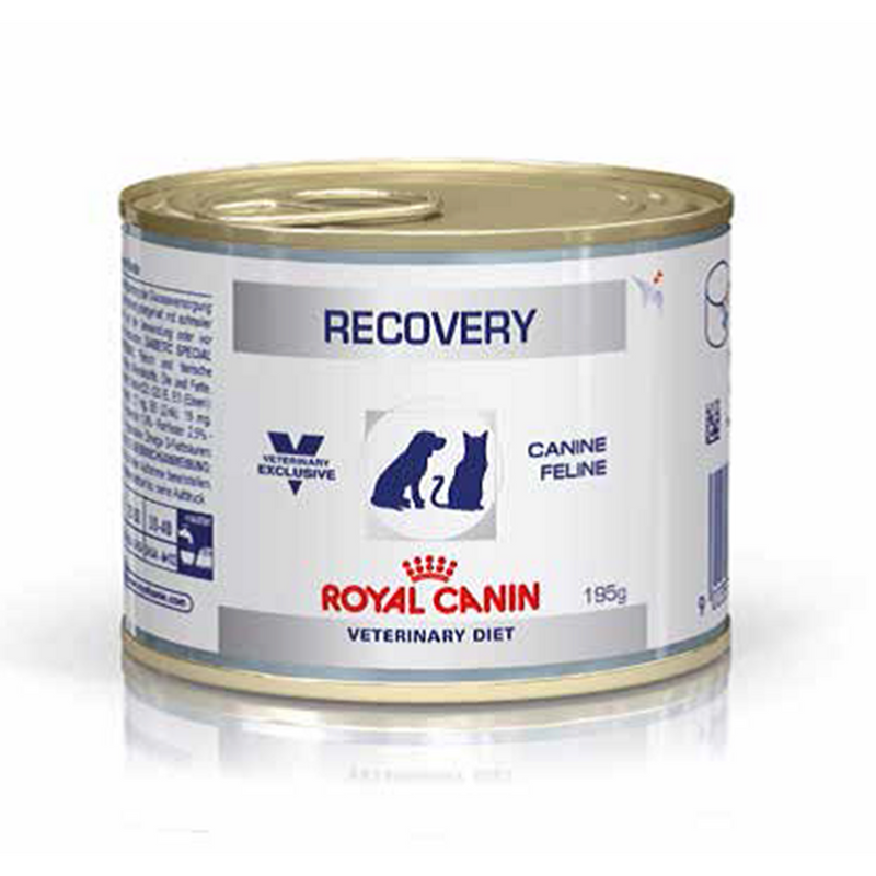 Royal Canin Recovery (195 gm) – Wet food for convalescence intensive care